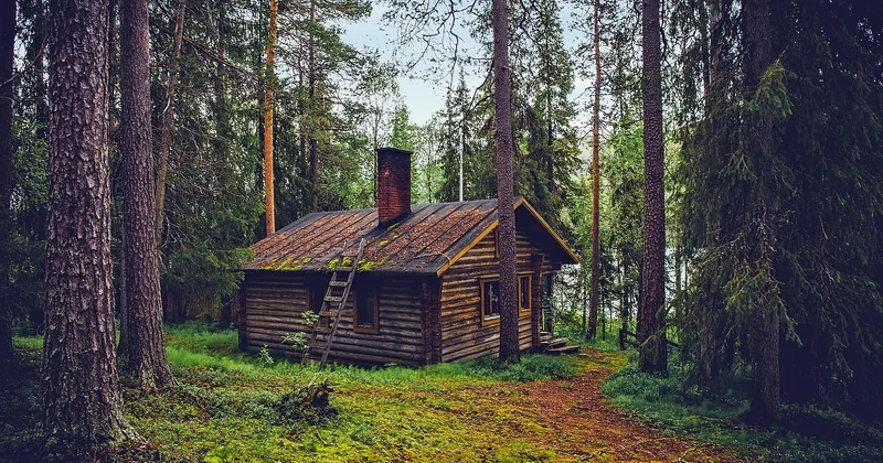 Cabanes dans les arbres près de Paris et en Île-de-France