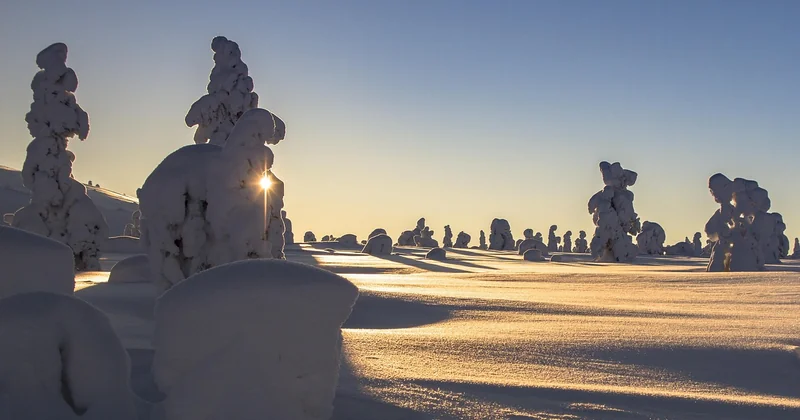 Où aller en Laponie en hiver : les zones qui tiennent sur un week-end