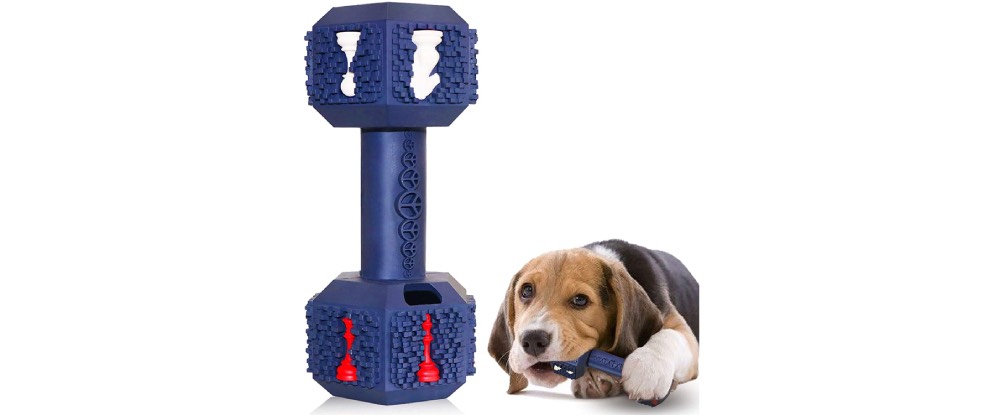 meilleur jouet indestructible pour chien 2021