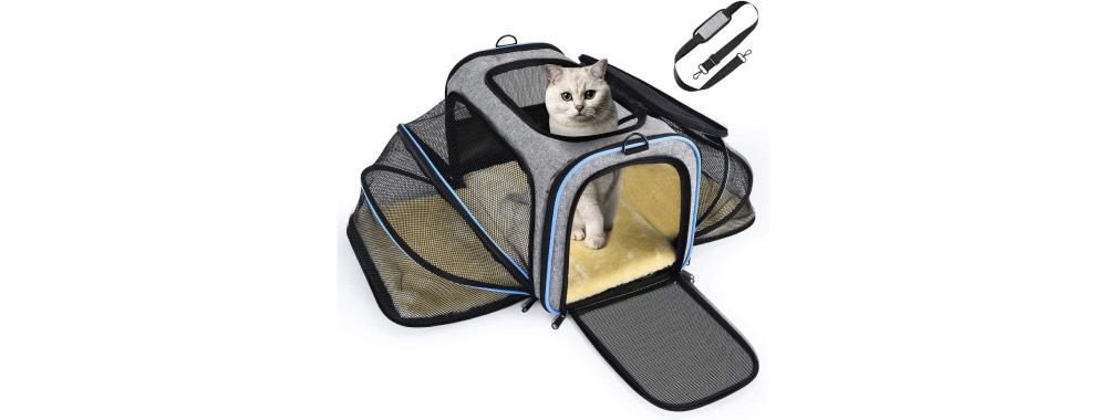 meilleur sac de transport pour chat 2022